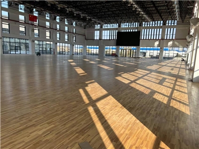 六安皖西衛生學院