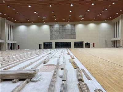 巢湖二中體育館