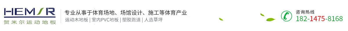 安徽實陽體育設(shè)施工程有限公司